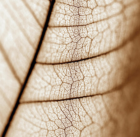 Portrait Marion Dusoulier Coach professionnelle